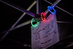 DSC_3540.jpg