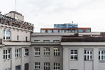 DSC_4681.jpg