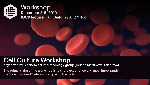 2019_cell_culture_workshop.jpg